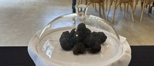 The black truffle season arrives in Catalunya!
