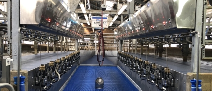 Liquiditeit: houd grip op uw melkveebedrijf