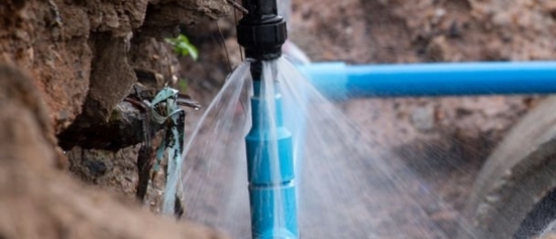 Voorkom wateroverlast met cavia waterdetectie!