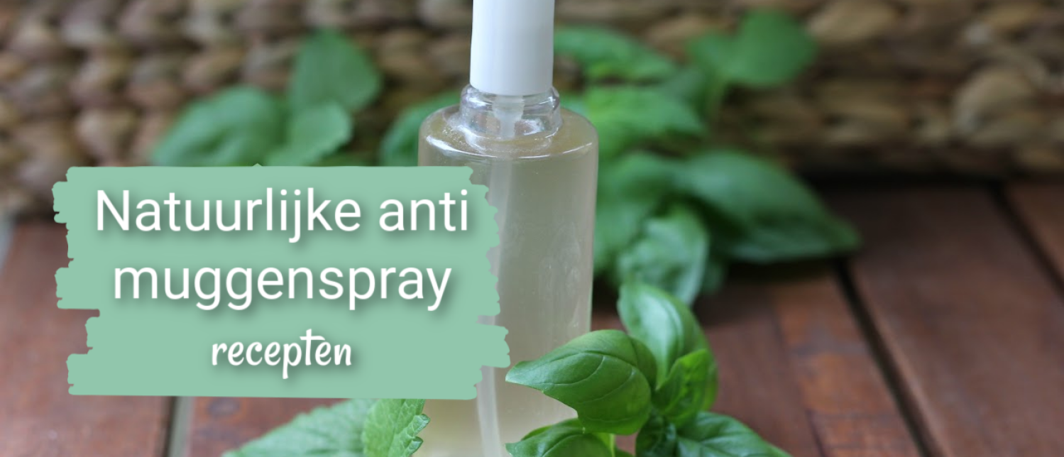 Anti muggenspray, twee natuurlijke huidvriendelijke recepten