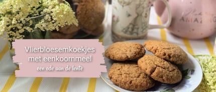 Vlierbloesemkoekjes met eenkoornmeel: een ode aan de lente