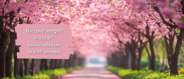 Nieuwe wegen inslaan: loslaten, ontdekken en jezelf hervinden