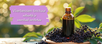 Vlierbessen tinctuur maken, natuurlijk je weerstand versterken