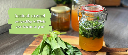 Daslook oxymel: een krachtige lentetonic voor lichaam en geest