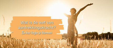 Wat is de wet van aantrekkingskracht?