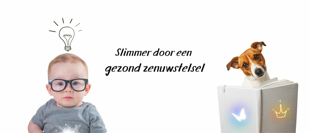 Een gezond zenuwstelsel maakt je slimmer.............👩‍🎓