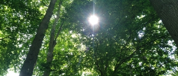 8 tips voor meer energie in de winter!