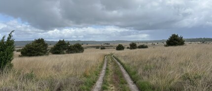 3-daagse wandelroute over de Veluwe: over het Roots Natuurpad