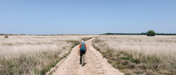 Trekkershuttentocht Veluwe: 3 dagen wandelen