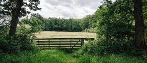 3-daagse wandeling in het Drentsche Aa Nationaal Park