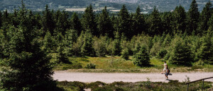 2 dagen wandelen op de Rennsteig in Duitsland