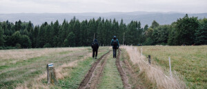 Wandelen in Polen: praktische tips
