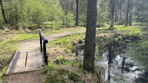 Het Diagonaalpad: Dwars door de Lage Landen