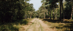 Wandelweekend met overnachting in Nederland of België