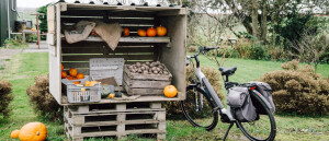 Fietsen langs boerenkraampjes in de Kop van Noord-Holland