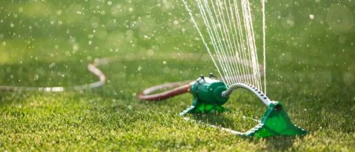 Grastips bij langdurige droogte