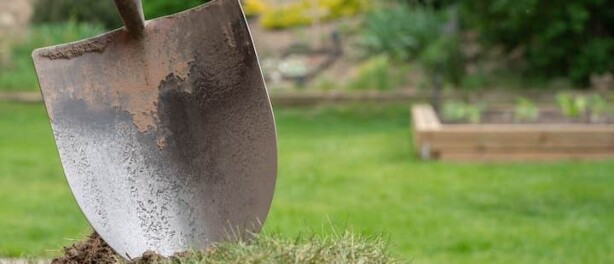 Gazon herstellen: praktische tips voor een gezond en egaal gras