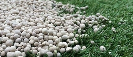 Het belang van de juiste bodem pH-waarde