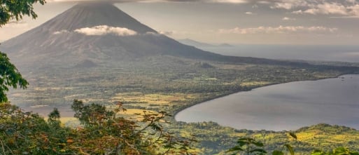Lavagruis als basis voor een gezonde tuin en een sterk gazon