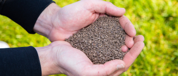 Kunstmest of organische mest wat is de juiste keuze voor je gazon