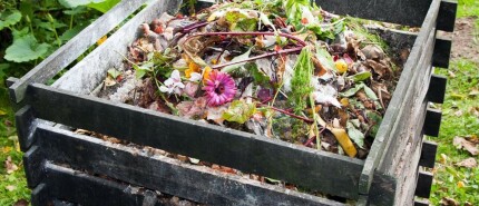 Wanneer & waarom compost gebruiken?