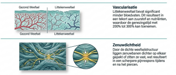 Piercen door littekenweefsel: De ongezouten waarheid over geduld, risico’s en anatomie
