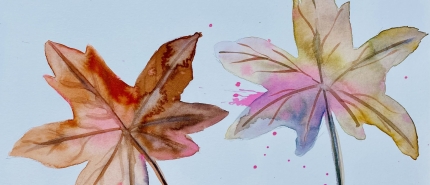 Stoppen met vergelijken in aquarel: zo krijg je meer plezier in schilderen