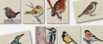 Je eigen aquarelstijl ontstaat vanzelf – als je dit toelaat