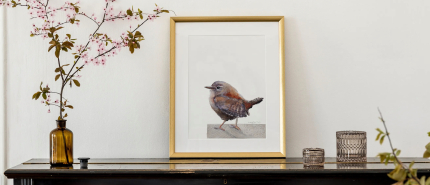 Januari Vogelmaand | Vogels in Aquarel & Vogelprints – Studio Angelart