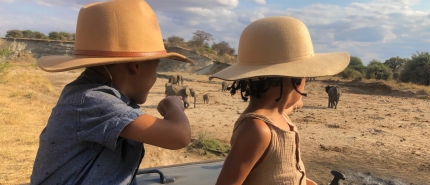 Safari en Tanzanie avec des enfants: notre expérience en famille