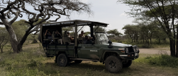 Combien de jours pour un safari en Tanzanie? Guide pour bien préparer son voyage