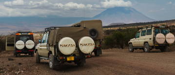 Safari en groupe ou safari privé ? Comment choisir la meilleure option pour votre aventure en Tanzanie