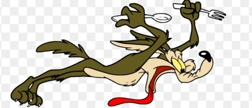 Ever feel like the coyote from Roadrunner