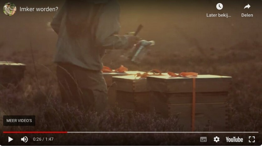 Starten met bijen houden | Zelf bijen houden hoe doe je dat?