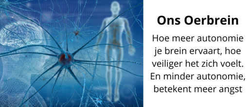 Hoe ons oerbrein kan helpen bij positionering en autonomie