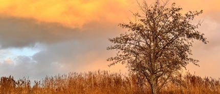 De Kracht van mildheid in de liefdesrelatie​