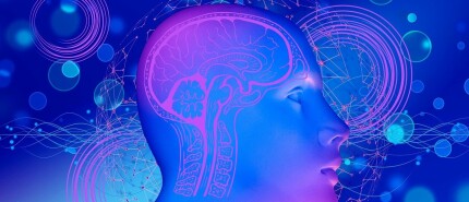 Can you be too intelligent for speaking Dutch?