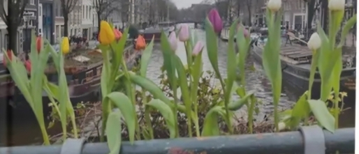 Free eBook: How To Improve Your Dutch Fast