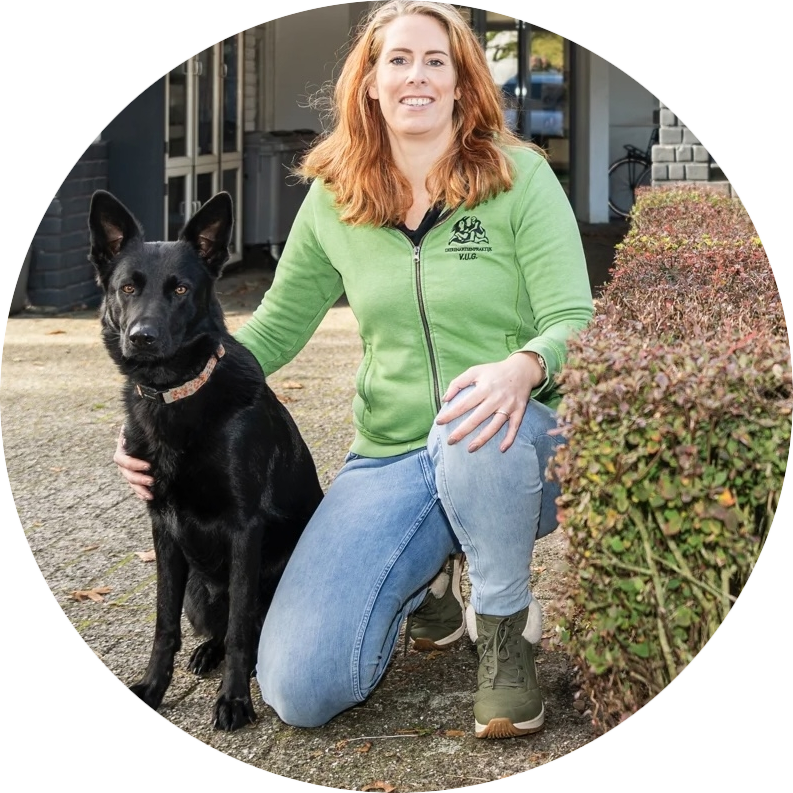 Hondengedragstherapie null