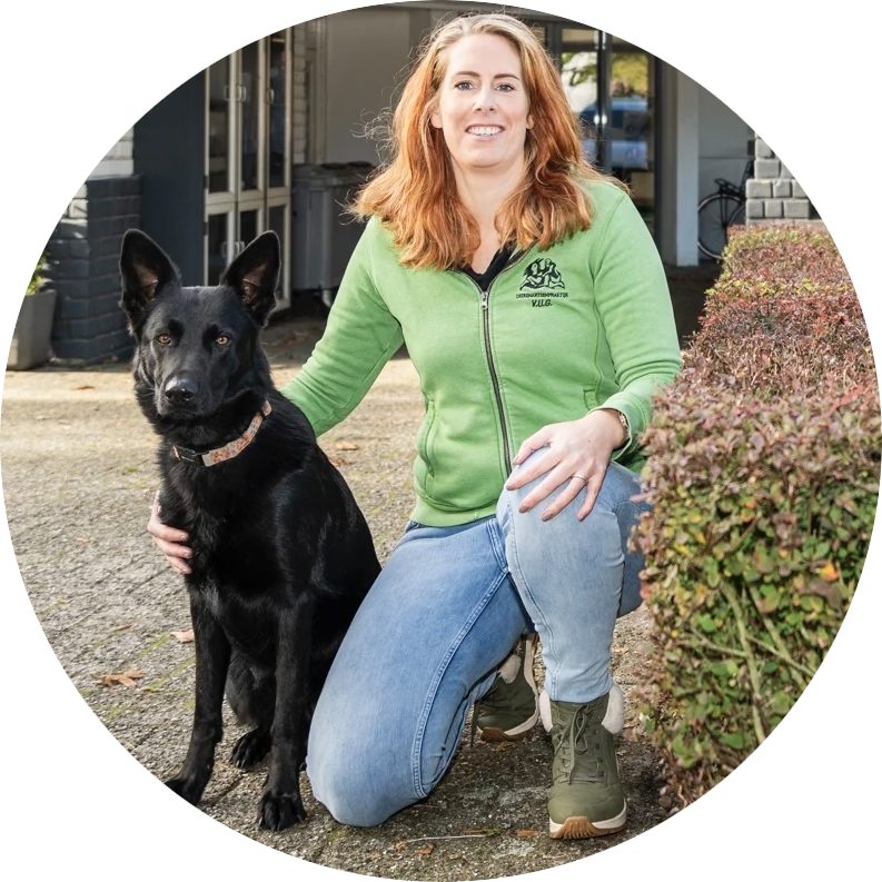 Hondengedragstherapie