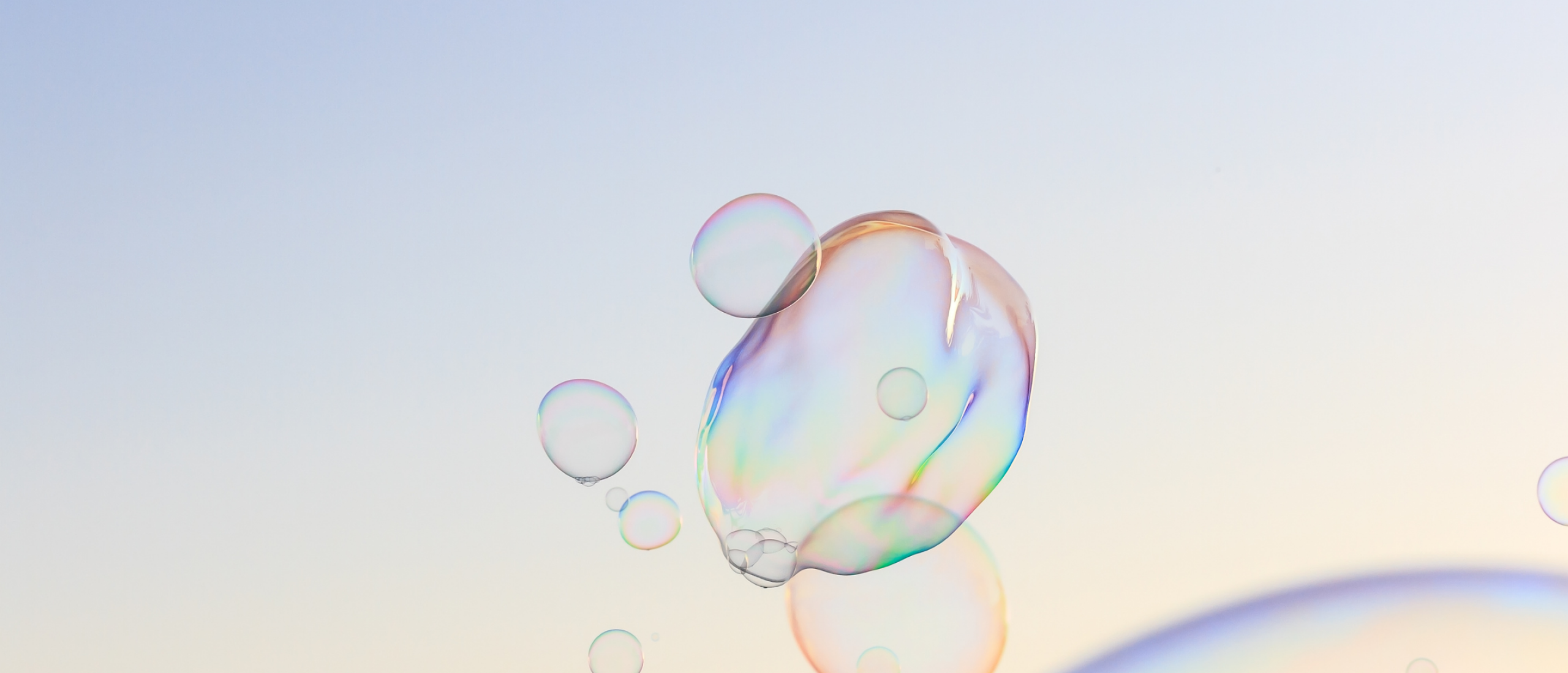 De 50+ bubbel