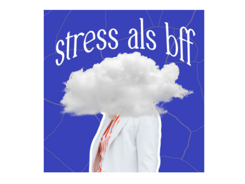 podcastvisual stress als bff elke van hoof