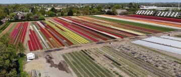 Informatiebericht Februari 2023 Zandzoom Heiloo