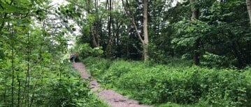 De Helende Kracht van Natuurwandelingen: Een Reis naar Innerlijke Rust