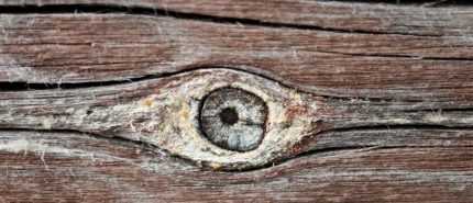 Hoe kun je je ogen natuurlijk herstellen? 3 voorwaarden voor gezonde ogen