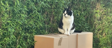 De zesde druk is binnen! En wat een reis is dit geworden