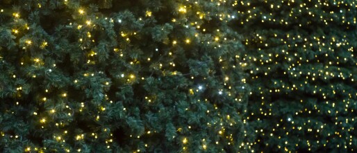 Hoe ga je met een ontspannen blik de feestdagen in?