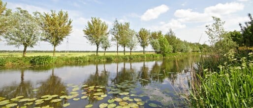 De lente komt eraan, laat je zonnebril af!