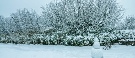 Verlangen naar sneeuw, ijs en kou!