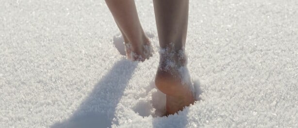 Hoe kun je goed aarden in de winter?